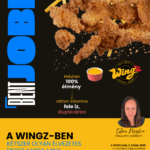 WingZ Szeged csirkeszárny