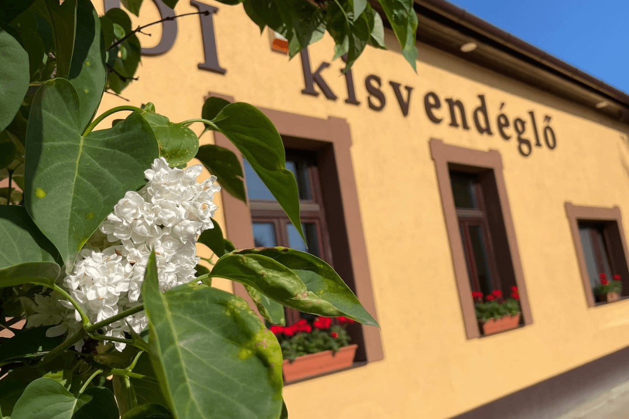 Szegedi Degusztációs Menüsor Queen Code applikációval: Aradi Kisvendéglő partner