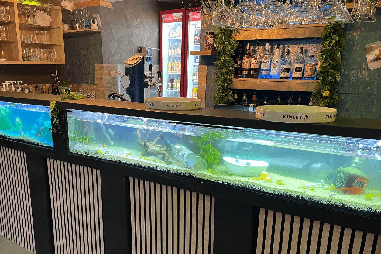 Budapest 7. kerület degusztációs menüsor Queen Code applikációval: Sárga Gumikacsa Pub